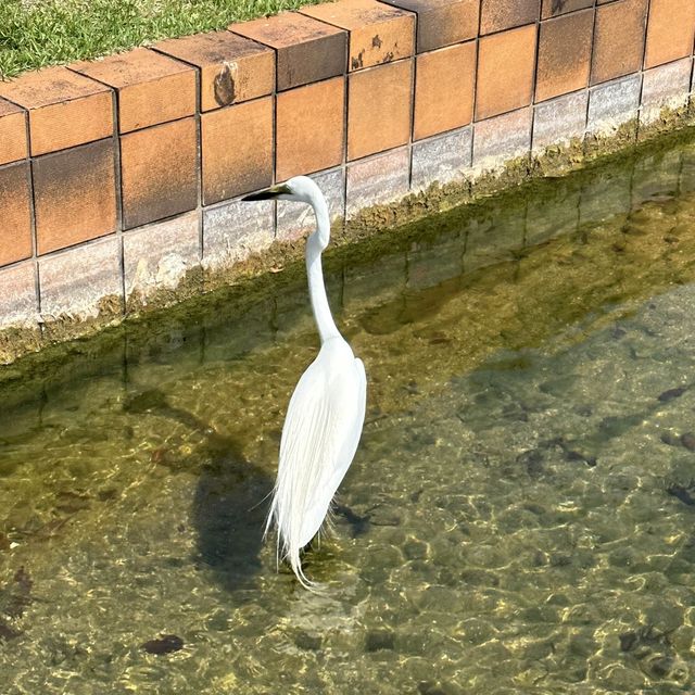 福岡人嘅後花園