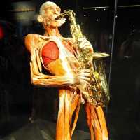 Body Worlds - Amsterdam, Netherlands