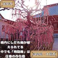 光受寺