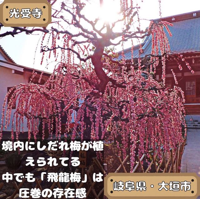 光受寺