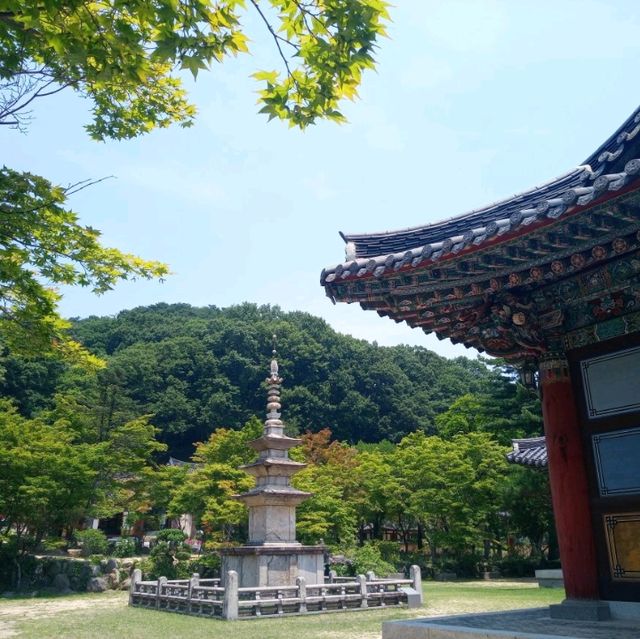 사명대사공원에탑과 직지사에 석탑투어