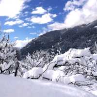 manalitourpackage