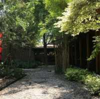 Onsen Your Senses 
