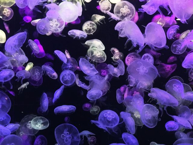 在珠海同海洋BB say個hi