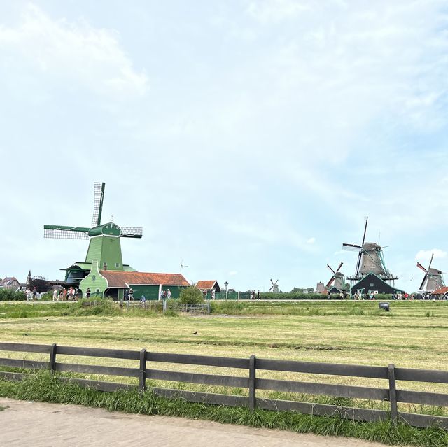 荷蘭🇳🇱風車村，離阿姆斯特丹最近的風車村
