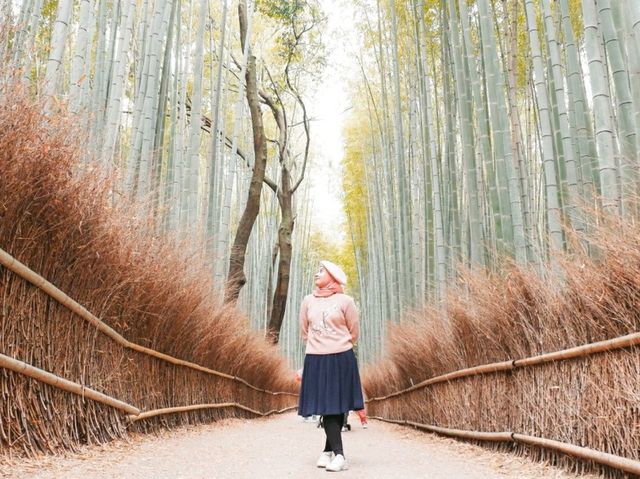 Explore Arashiyama like a local