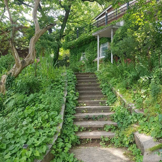 광주에서 예술을 즐기며 숙박하기 좋은 감성숙소 호랑가시나무언덕게스트하우스