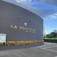 Interesting Seaweed Museum 