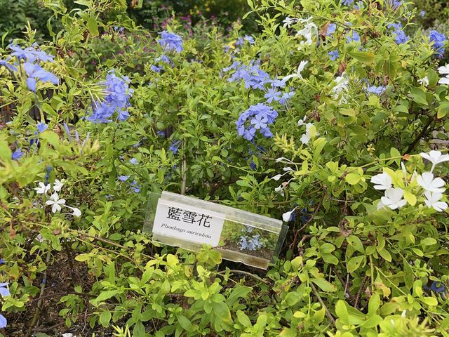 親子好去處 @ 城門谷公園