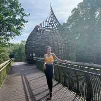 Exploring Sungei Buloh Wetland Reserve’s