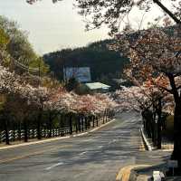 大邱八公山