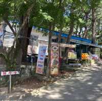 ［釜山］一小時來回快閃登山～金剛山纜車之旅