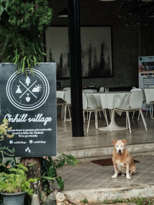 Onhill Village ที่พักวิวภูเขาน้องหมาพักได้ 🐕