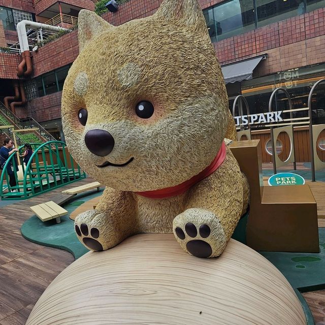 帶毛孩放電購物好地方🐶🦮🐕‍🦺🐕🐩
