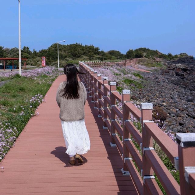 완벽한 바다색의 세화해수욕장