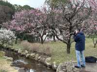 日本大阪｜萬博紀念公園中的巨塔