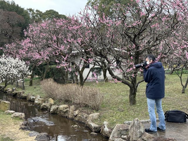 日本大阪｜萬博紀念公園中的巨塔