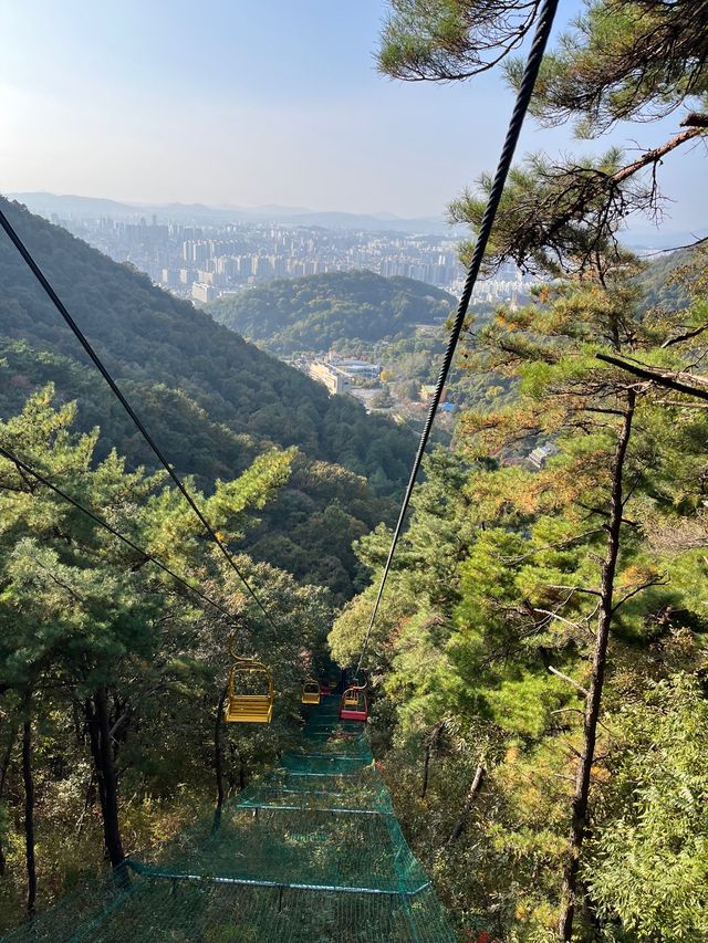 단풍구경하며 모노레일 탈 수 있는 여행지