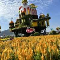 2023新社國際花海節～開跑🏃 滿滿的向日葵🌻