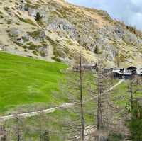 Alpine Majesty: delightful countryside