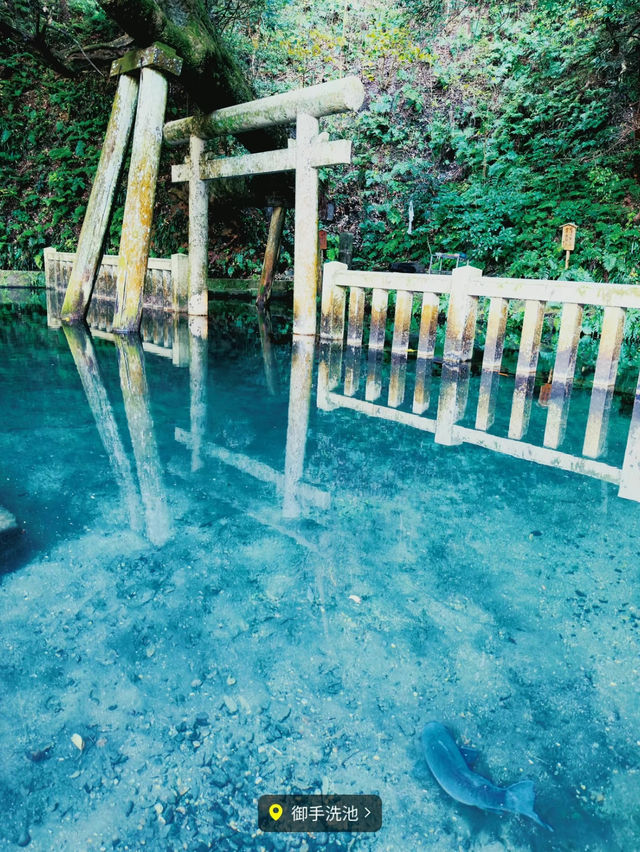 【絶景】神秘的な美しさのパワースポット⛩