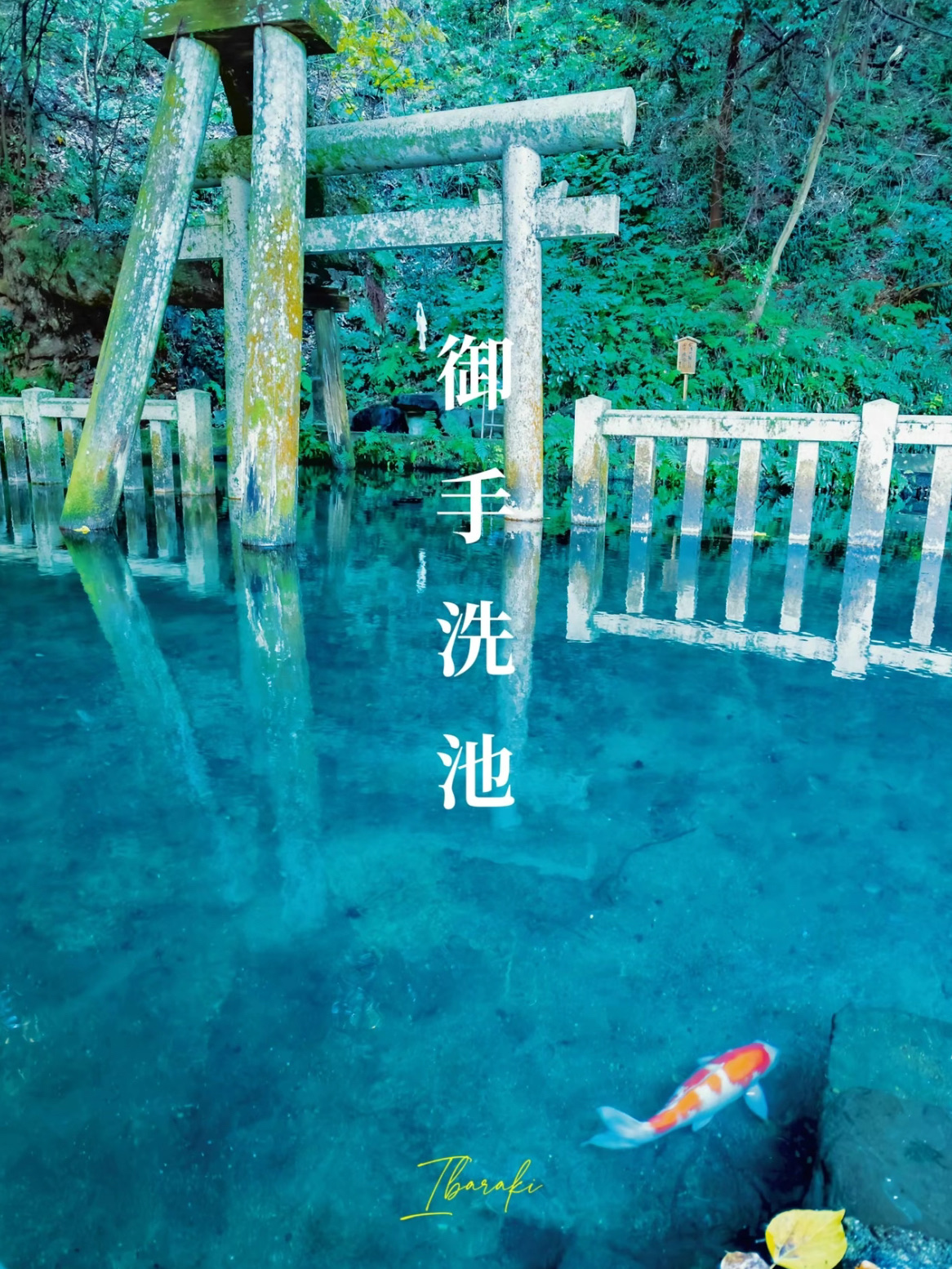 [Cảnh quan ngoạn mục] Một địa điểm quyền lực với vẻ đẹp bí ẩn⛩