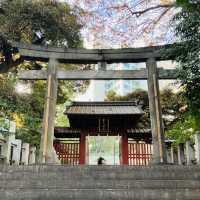 渋谷のど真ん中にある神社 - 金王八幡宮 -
