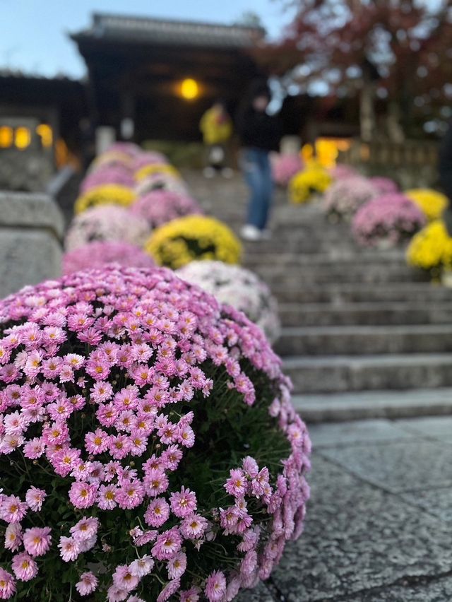 秋の修善寺！もみじに竹林、お寺を堪能