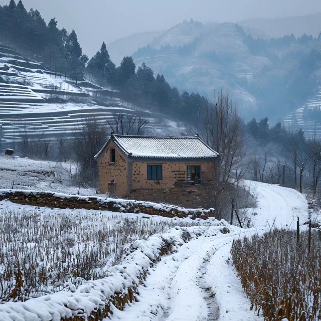 雪白日夢😶‍🌫️雙鴨山