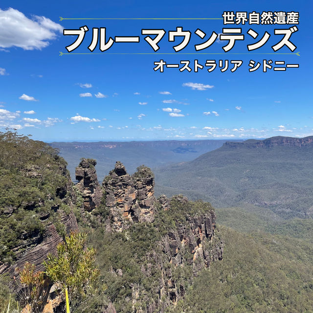 【シドニー観光】必ず抑えたいスポット「ブルーマウンテンズ」🇦🇺 【シドニー観光】必ず抑えたいスポット「ブルーマウンテンズ」🇦🇺