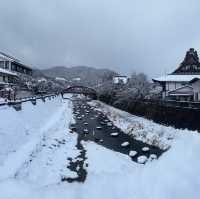 Hida-Furakawa: เมืองเล็กๆ ที่ไม่ควรพลาด