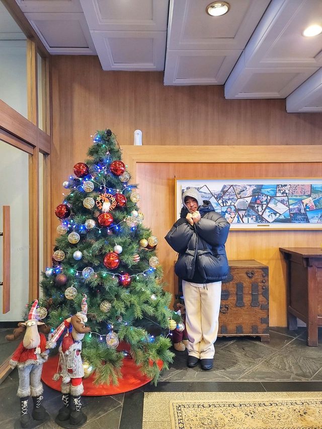 눈오면 꼭 가야할 평창 호텔🤍