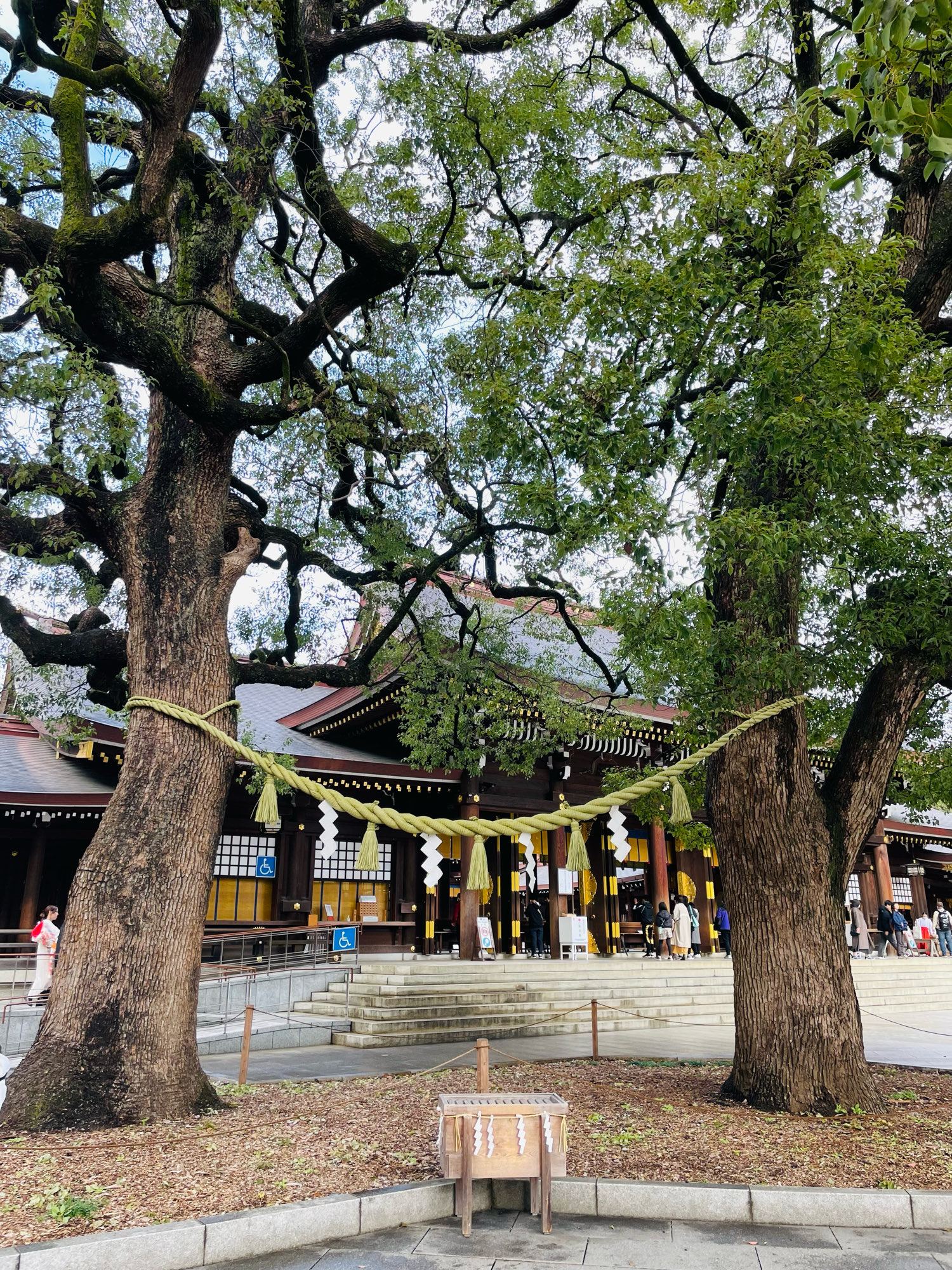 神詣で　全国神社　参拝とまつり 節分祭のお知らせ 年男・年女奉仕募集について 【日 程】2月2