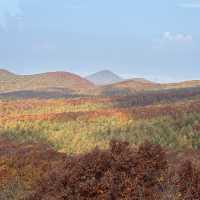 Aomori ดีกว่าที่คิด🍂🧡