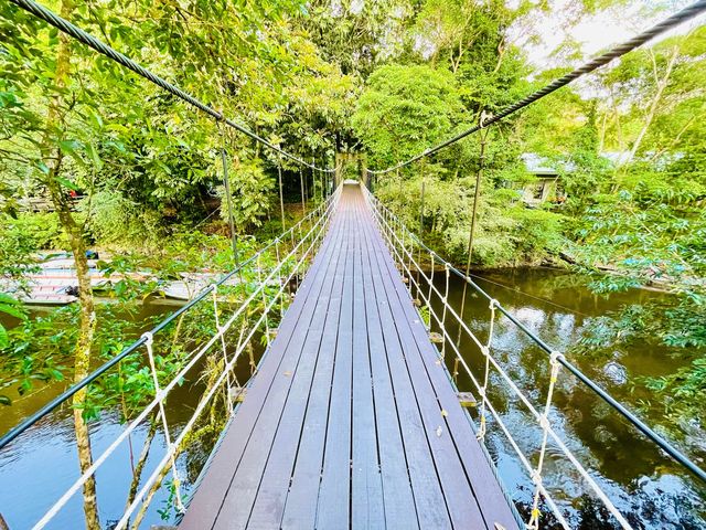 Delve into the heart of biodiversity.
