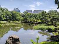 Quiet and peaceful well maintained Garden