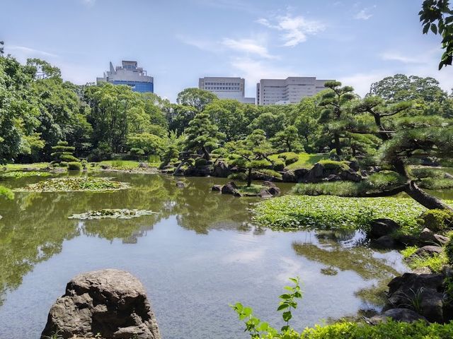 Quiet and peaceful well maintained Garden