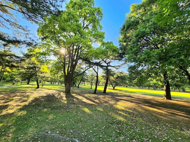 Beppu Park