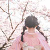 👘💕 แนะนำร้านเช่าชุดกิโมโนคู่รัก ณ เกียวโต