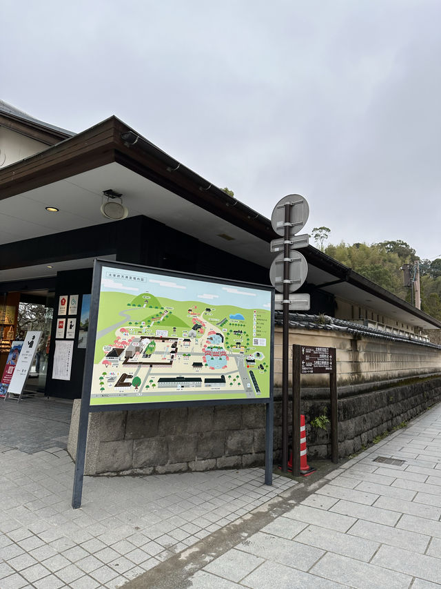 梅が綺麗に咲く福岡の太宰府天満宮