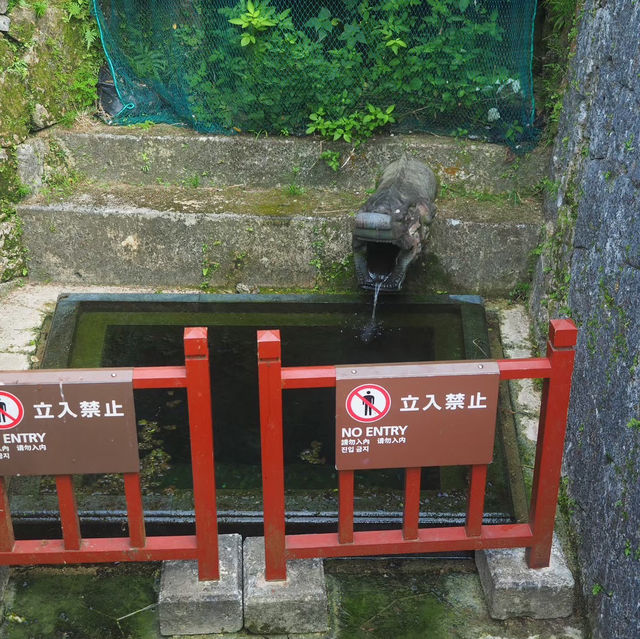 【今しか見れない景色★】首里城