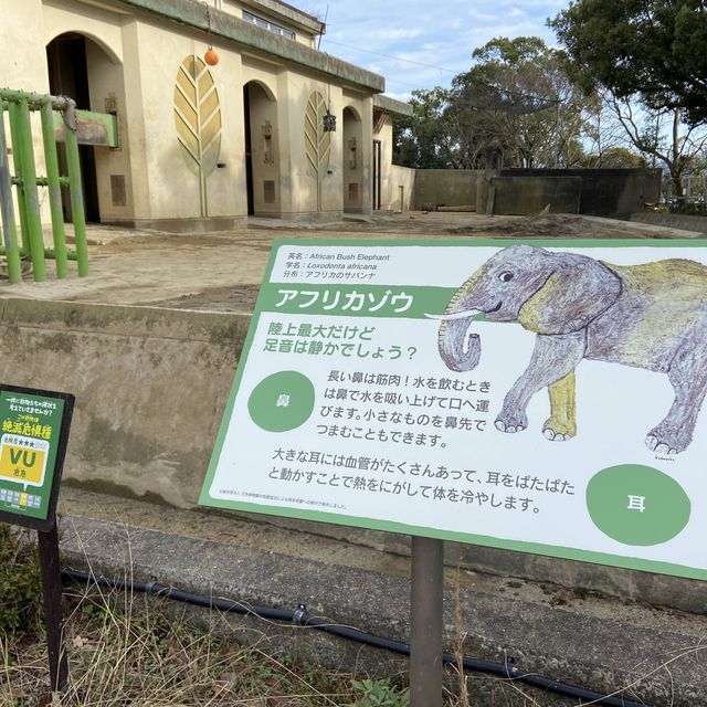 在動物園渡過美好放鬆的下午