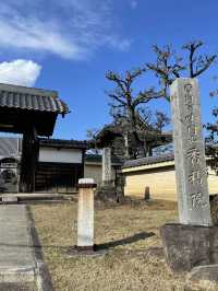 【愛知】名古屋市内でひと足早く桜しだれ桜が咲くお寺