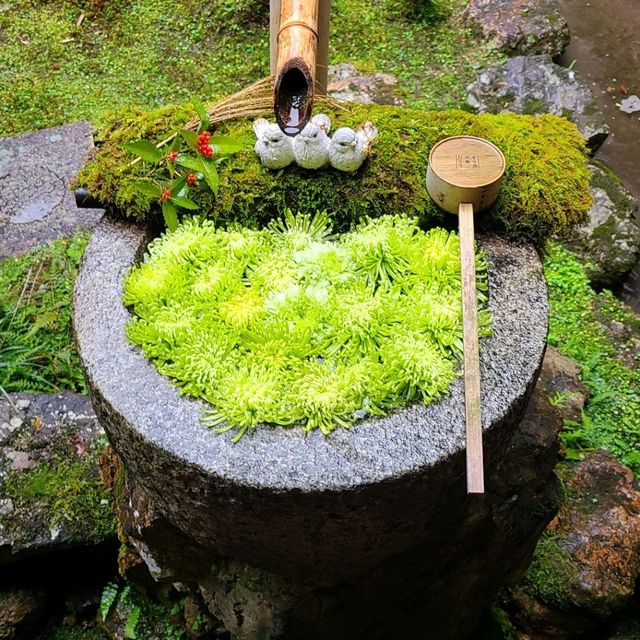 京都花手水発祥のお寺⭐柳谷観音楊谷寺⭐