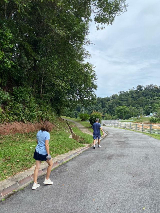 Relaxing Walk at Air Itam Dam, Penang 🇲🇾