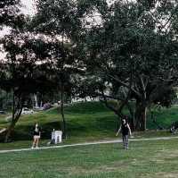 Ang Kaew - Chiangmai University⛰