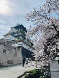 【大阪府】大阪観光に外せない大阪城！！