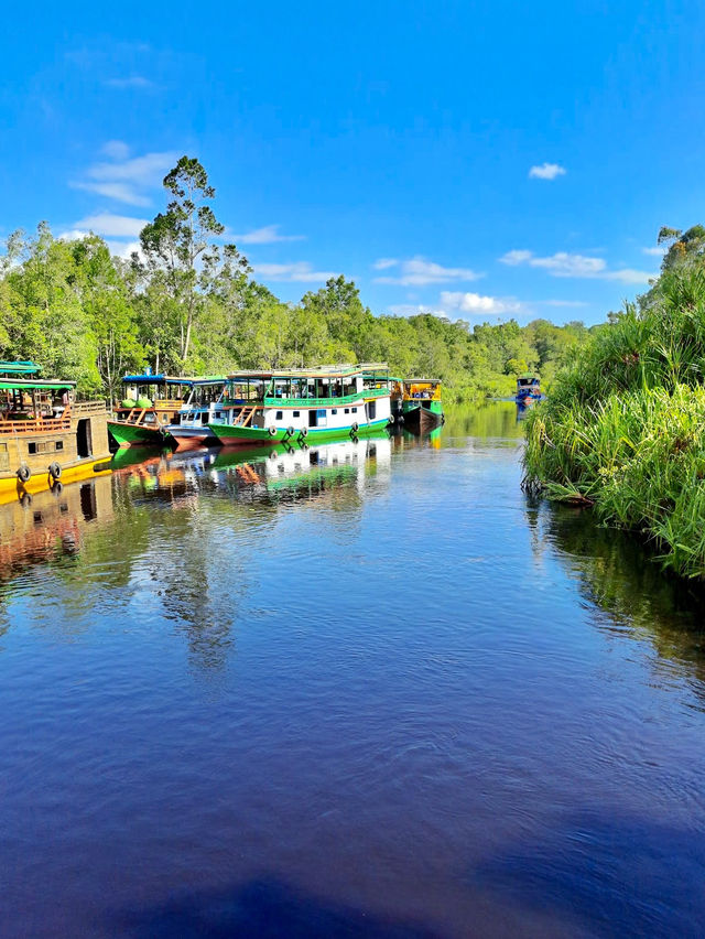 Taman Nasional Tanjung Puting