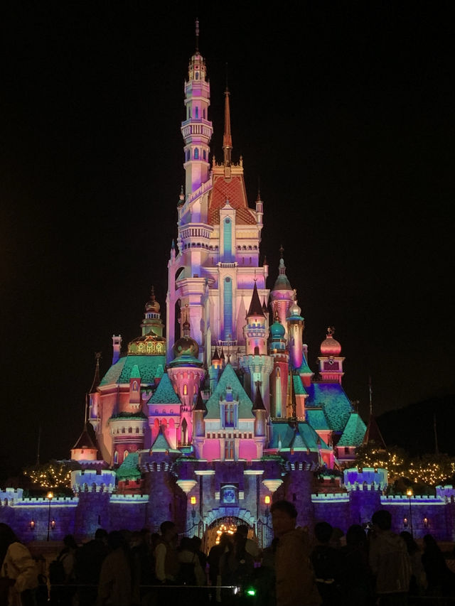 디즈니성 완공 & 겨울왕국 파크 오픈 소식에 다시 갈 수 밖에 없었던 홍콩 디즈니랜드 🪄◝✩🎠