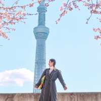 จุดถ่ายรูป Sakura + Tokyo Sky Tree 🌸🗼